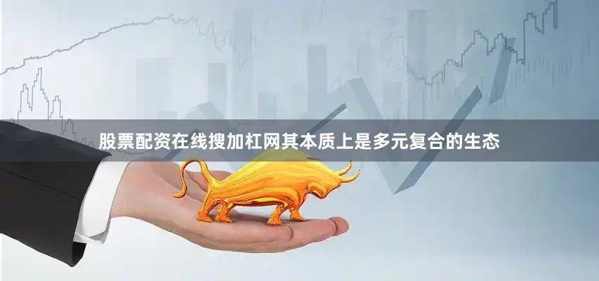 股票配资在线搜加杠网其本质上是多元复合的生态